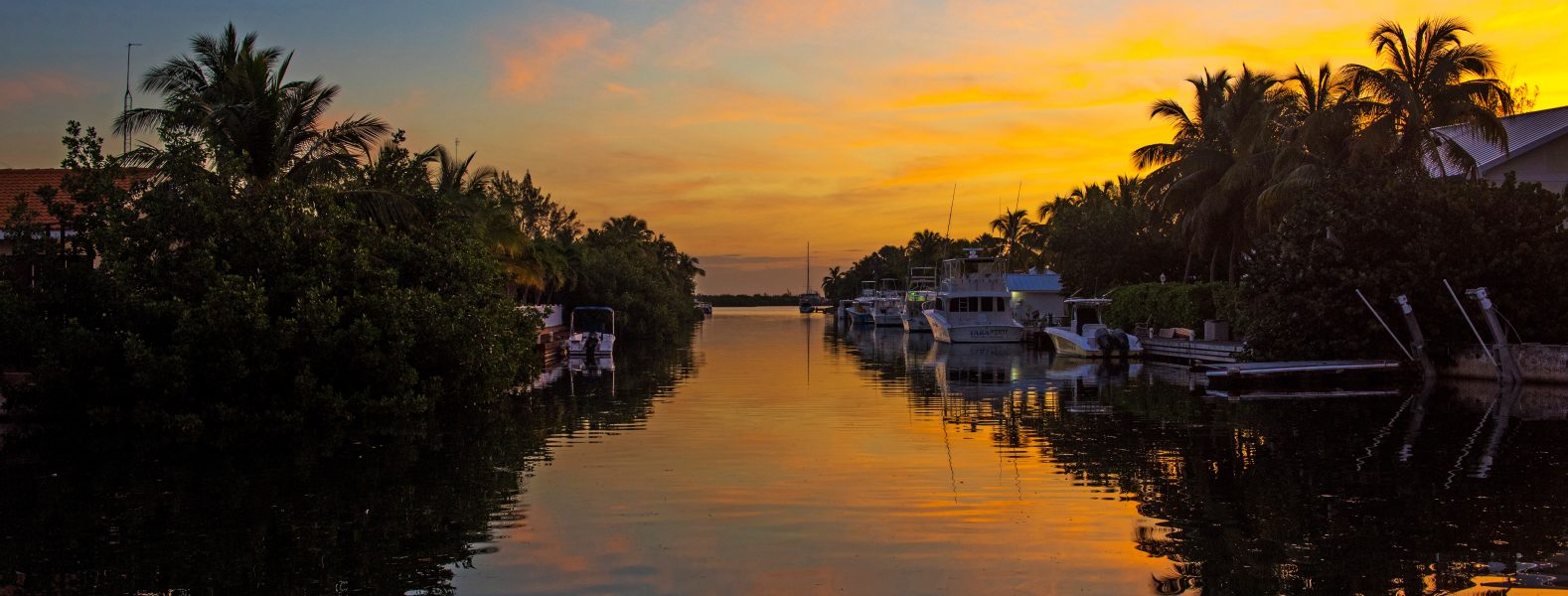 Cayman: A Sanctuary