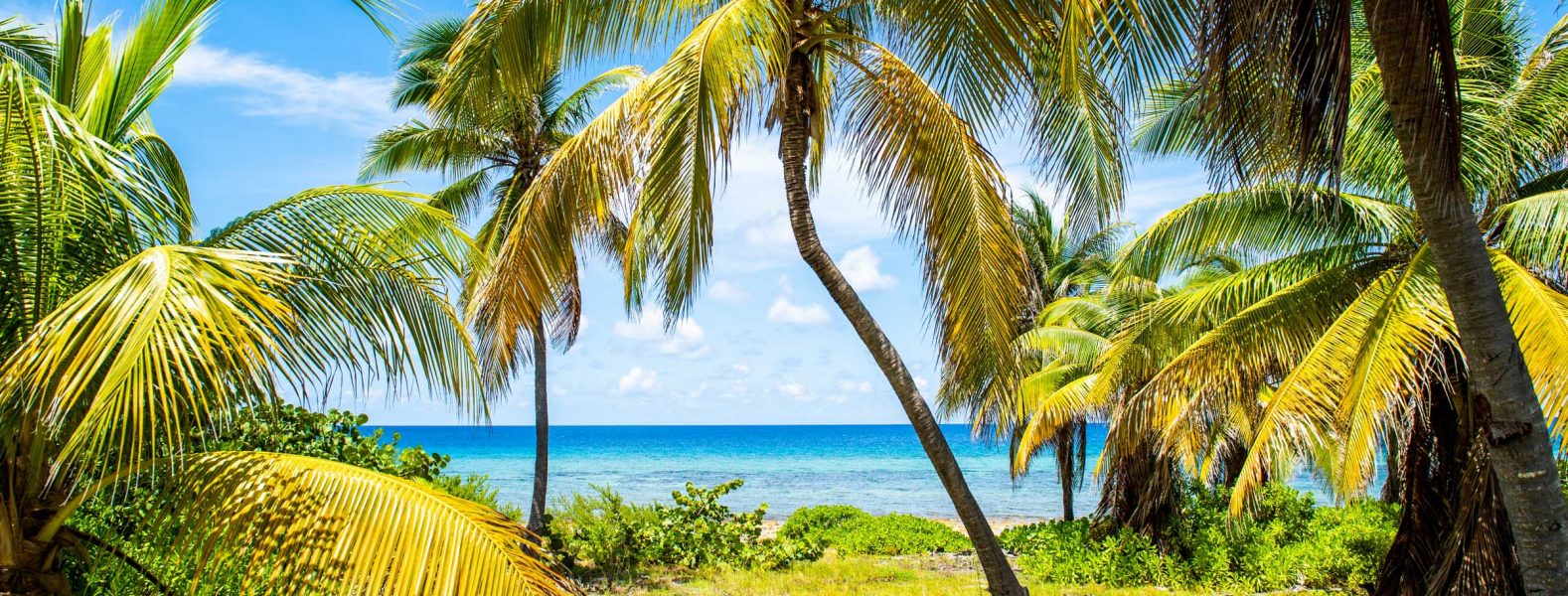 Life on Cayman Brac
