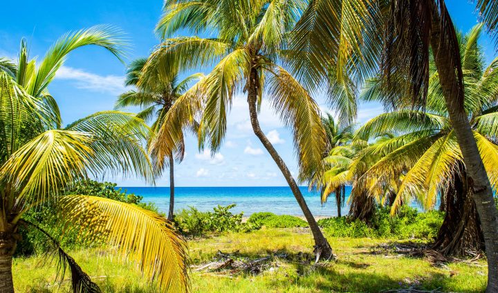 Life on Cayman Brac