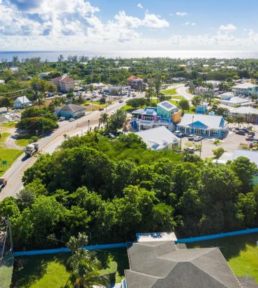 SHAMROCK ROAD 0.328 ACRES, COUNTRYSIDE IN SAVANNAH