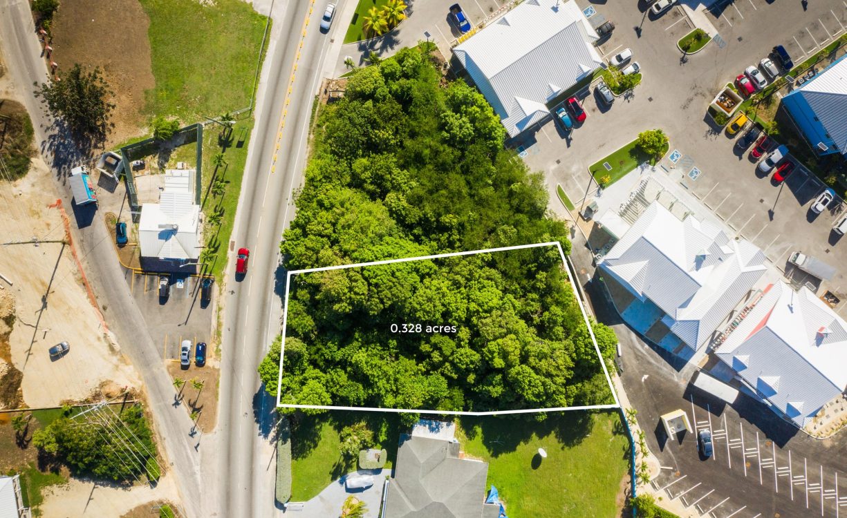 SHAMROCK ROAD 0.328 ACRES, COUNTRYSIDE IN SAVANNAH