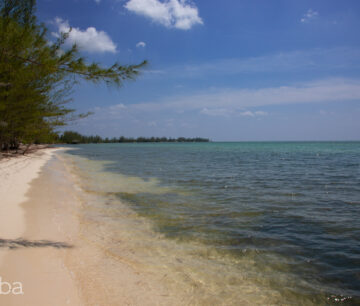 STARFISH | BEACHFRONT LAND, FRANK SOUND