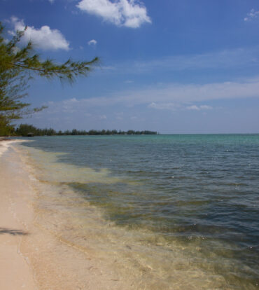 STARFISH | BEACHFRONT LAND, FRANK SOUND