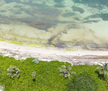RUM POINT BEACH FRONT LOT