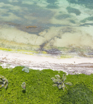 RUM POINT BEACH FRONT LOT