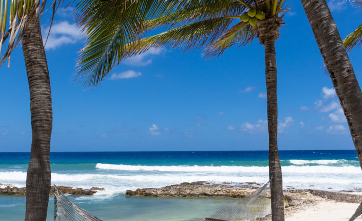 ON THE BAY