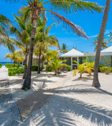 CAYMAN KAI SEALODGE #13 BEACHFRONT CONDO WITH IMPRESSIVED RENTAL HISTORY