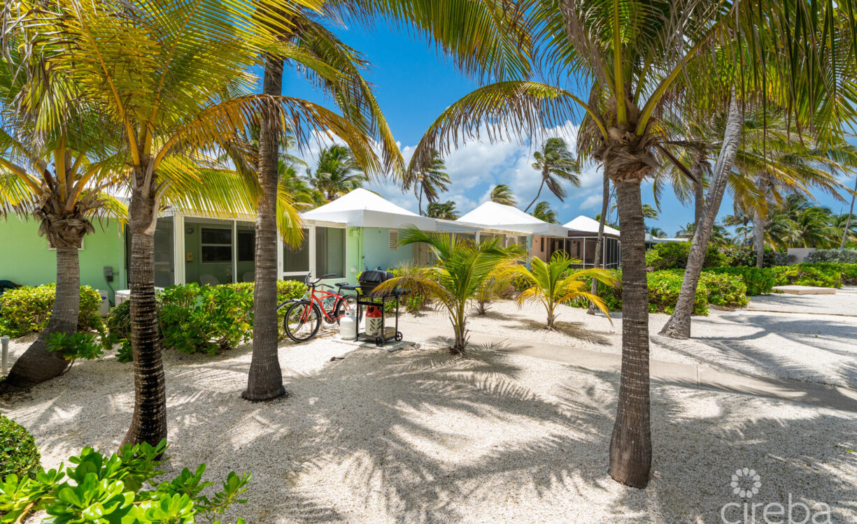 CAYMAN KAI SEALODGE #13 BEACHFRONT CONDO WITH IMPRESSIVED RENTAL HISTORY