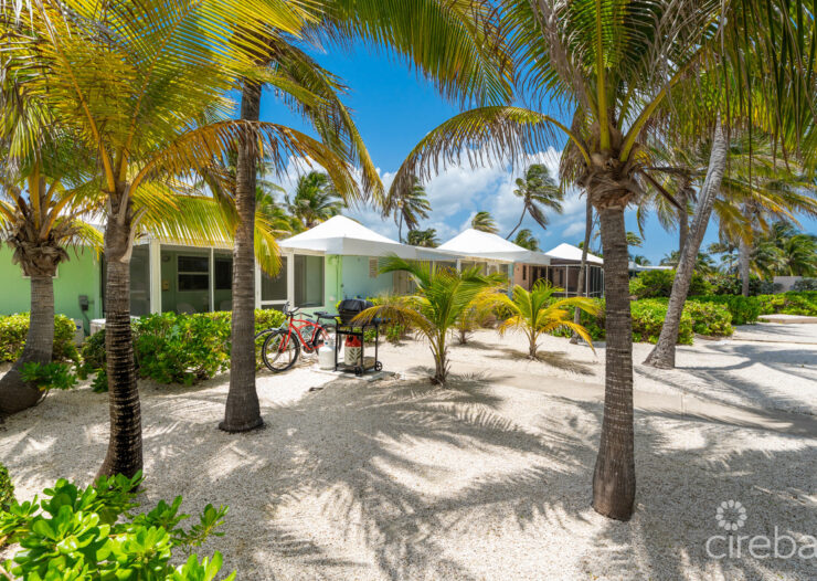 CAYMAN KAI SEALODGE #13 BEACHFRONT CONDO WITH IMPRESSIVED RENTAL HISTORY