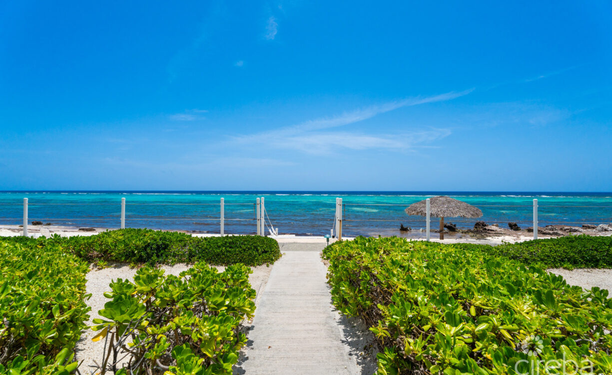 CAYMAN KAI SEALODGE #13 BEACHFRONT CONDO WITH IMPRESSIVED RENTAL HISTORY