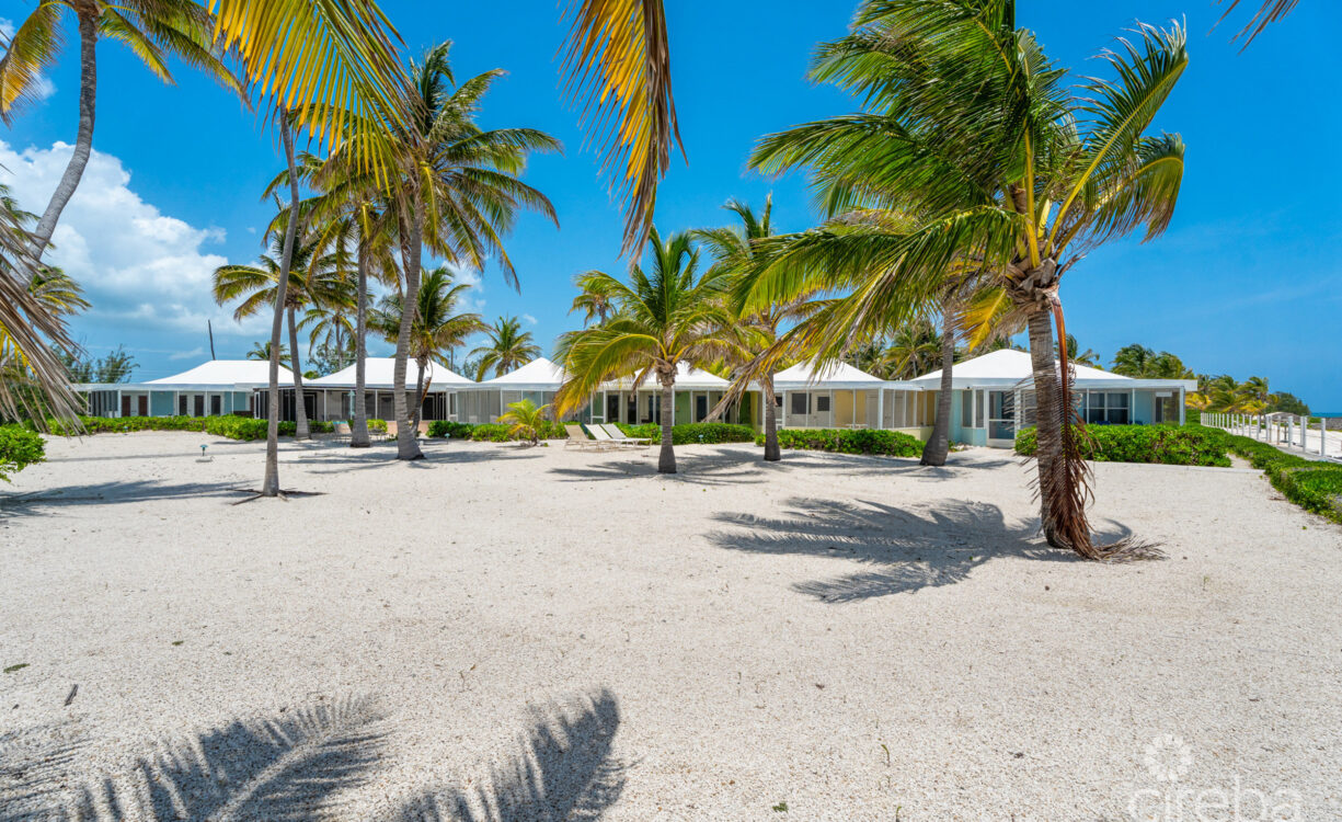 CAYMAN KAI SEALODGE #13 BEACHFRONT CONDO WITH IMPRESSIVED RENTAL HISTORY