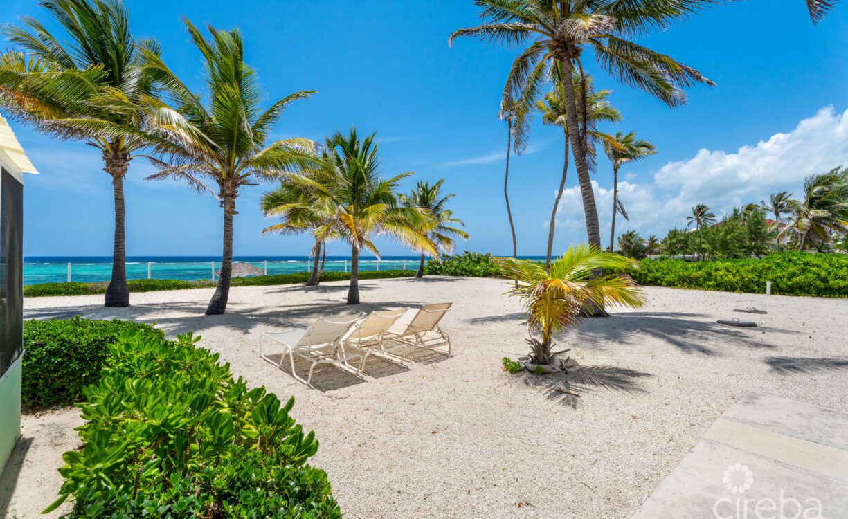 CAYMAN KAI SEALODGE #13 BEACHFRONT CONDO WITH IMPRESSIVED RENTAL HISTORY