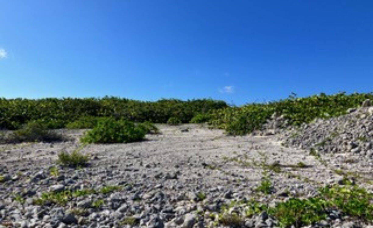 CAYMAN BRAC NORTHSIDE BEACH FRONT LAND