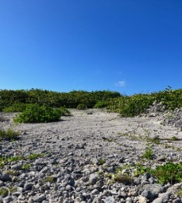 CAYMAN BRAC NORTHSIDE BEACH FRONT LAND