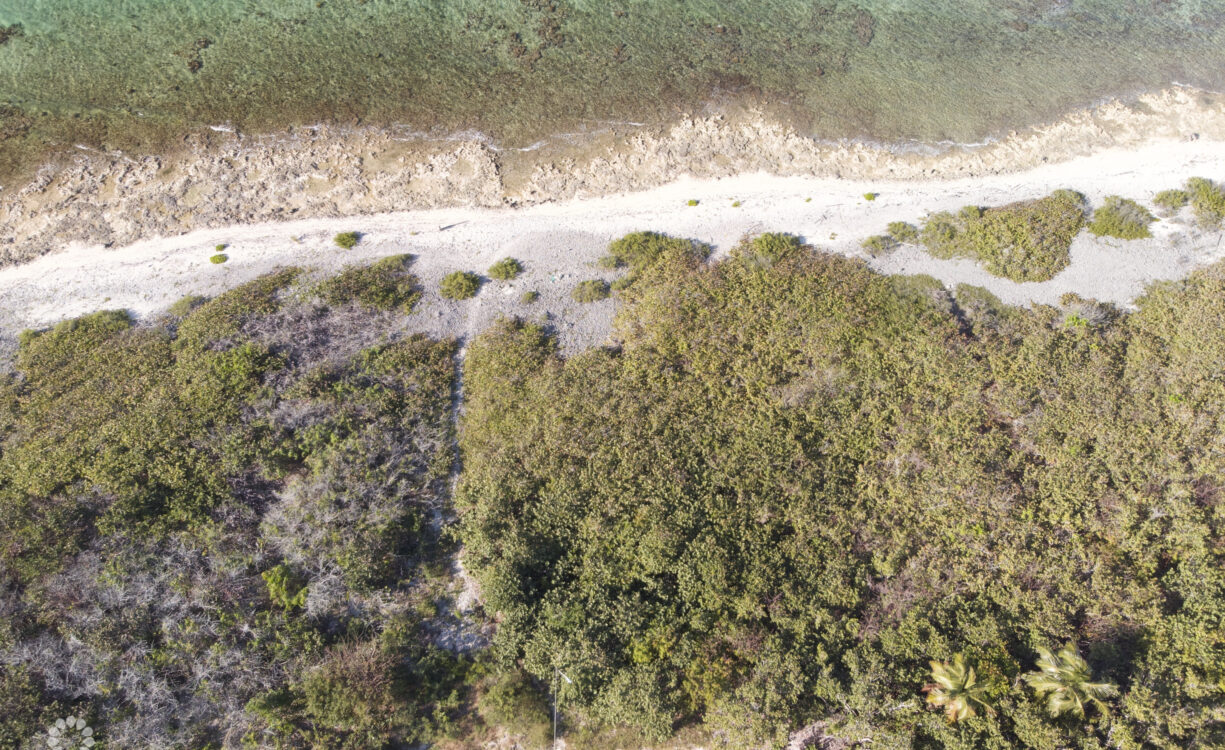 CAYMAN BRAC NORTHSIDE BEACH FRONT LAND