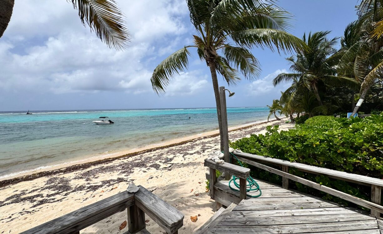 CARIBBEAN PARADISE 9