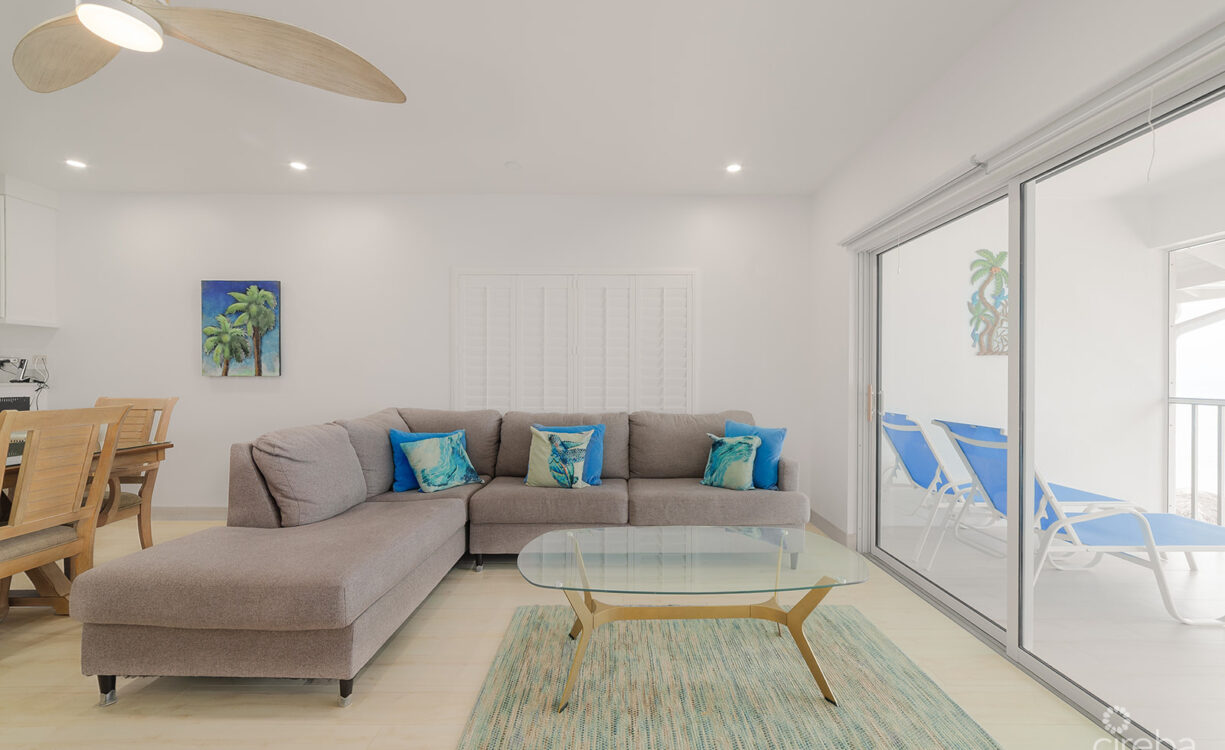RENOVATED PENTHOUSE DISCOVERY POINT CLUB