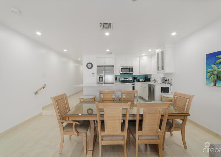 RENOVATED PENTHOUSE DISCOVERY POINT CLUB