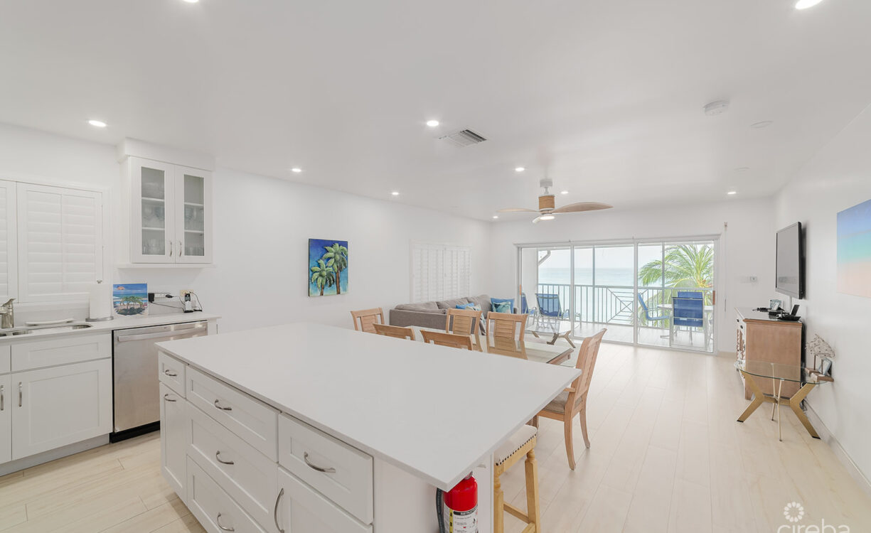 RENOVATED PENTHOUSE DISCOVERY POINT CLUB