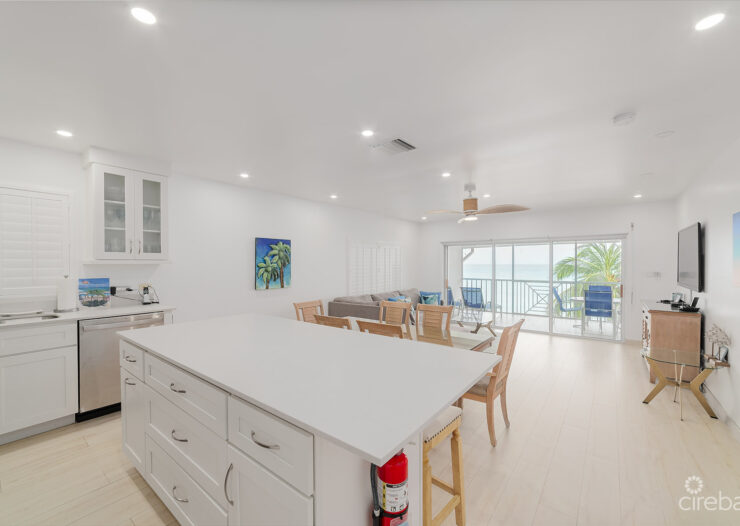 RENOVATED PENTHOUSE DISCOVERY POINT CLUB