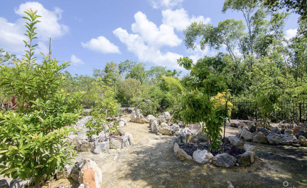 ROCK RIDGE HOUSE