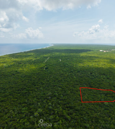 2.5 ACRES - CAYMAN BRAC BLUFF