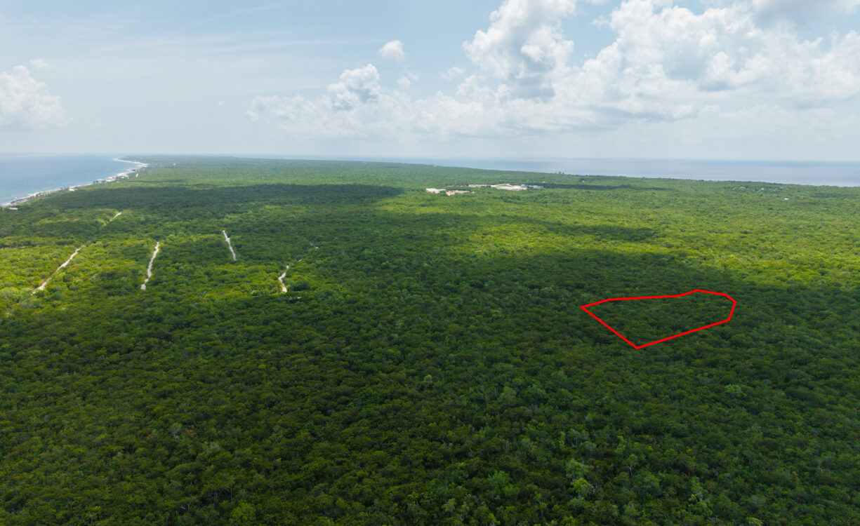 2.5 ACRES - CAYMAN BRAC BLUFF