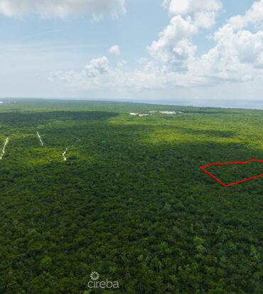 2.5 ACRES - CAYMAN BRAC BLUFF