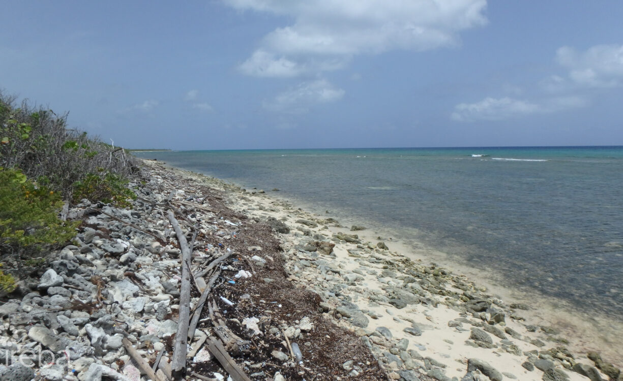 LITTLE CAYMAN NORTH SIDE OCEAN FRONT LAND