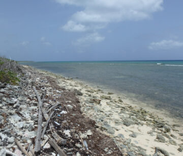 LITTLE CAYMAN NORTH SIDE OCEAN FRONT LAND