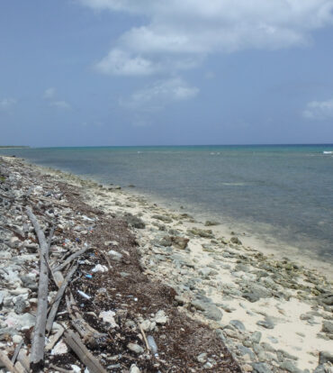 LITTLE CAYMAN NORTH SIDE OCEAN FRONT LAND