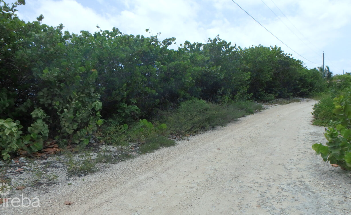 LITTLE CAYMAN NORTH SIDE OCEAN FRONT LAND