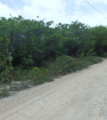 LITTLE CAYMAN NORTH SIDE OCEAN FRONT LAND