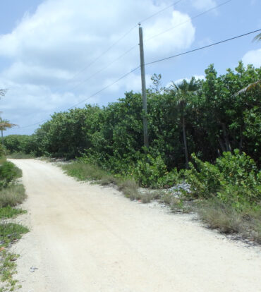 LITTLE CAYMAN NORTH SIDE OCEAN FRONT LAND