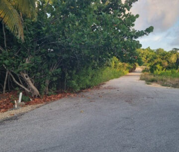 BRAC HOUSE LOT ON HAROLD DRIVE
