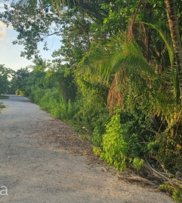 BRAC HOUSE LOT ON HAROLD DRIVE