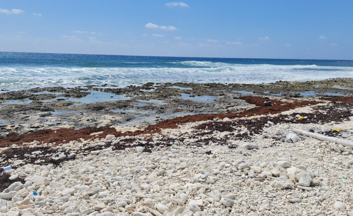 CAYMAN BRAC EAST OCEANFRONT 1.25 ACRES
