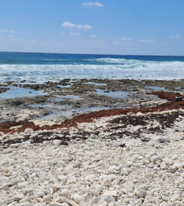 CAYMAN BRAC EAST OCEANFRONT 1.25 ACRES