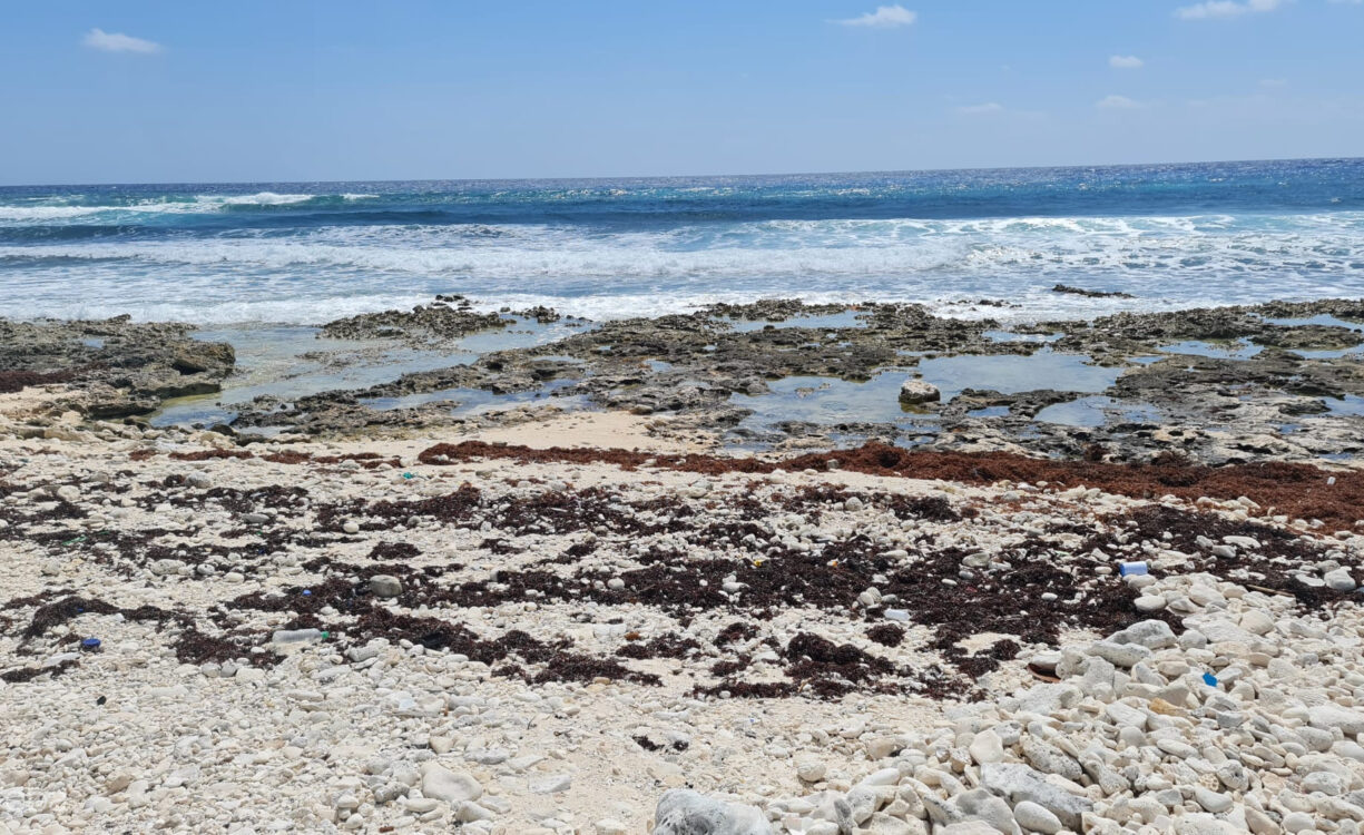 CAYMAN BRAC EAST OCEANFRONT 1.25 ACRES