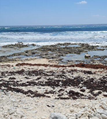 CAYMAN BRAC EAST OCEANFRONT 1.25 ACRES