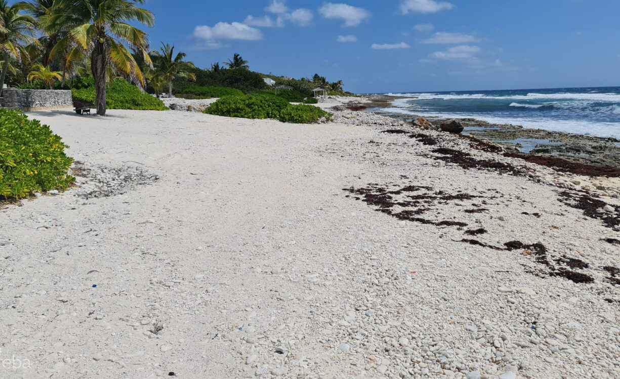CAYMAN BRAC EAST OCEANFRONT 1.25 ACRES