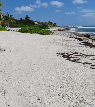 CAYMAN BRAC EAST OCEANFRONT 1.25 ACRES
