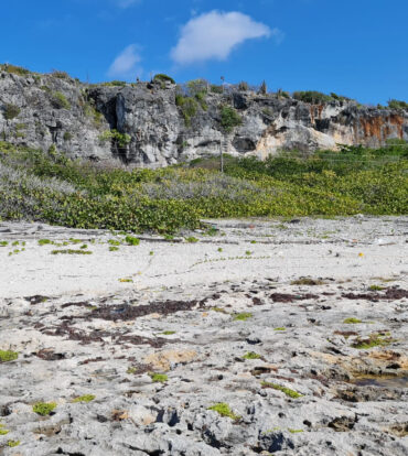 CAYMAN BRAC EAST OCEANFRONT 1.25 ACRES