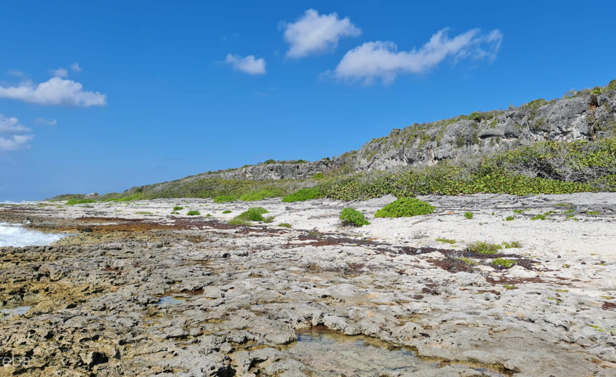 CAYMAN BRAC EAST OCEANFRONT 1.25 ACRES