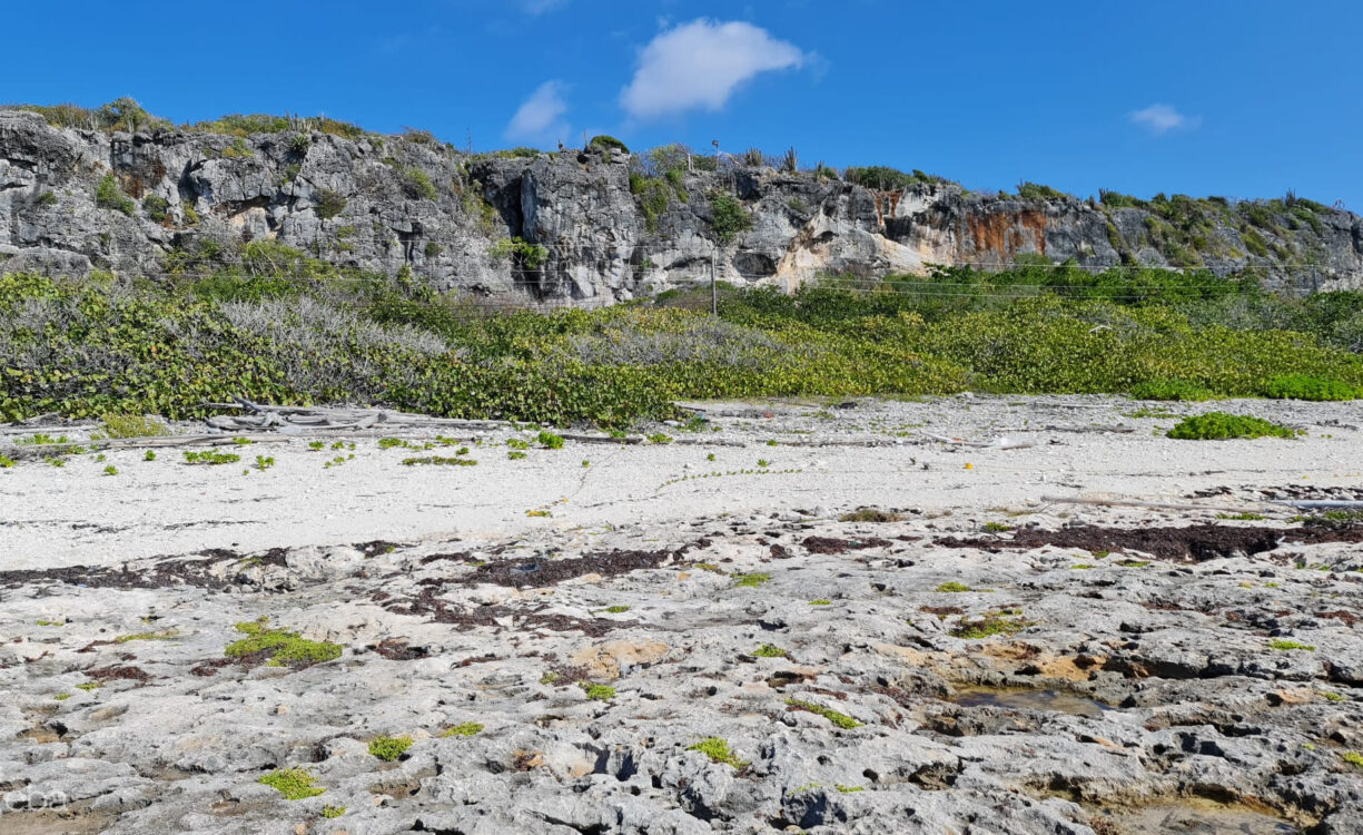 CAYMAN BRAC EAST OCEANFRONT 1.25 ACRES