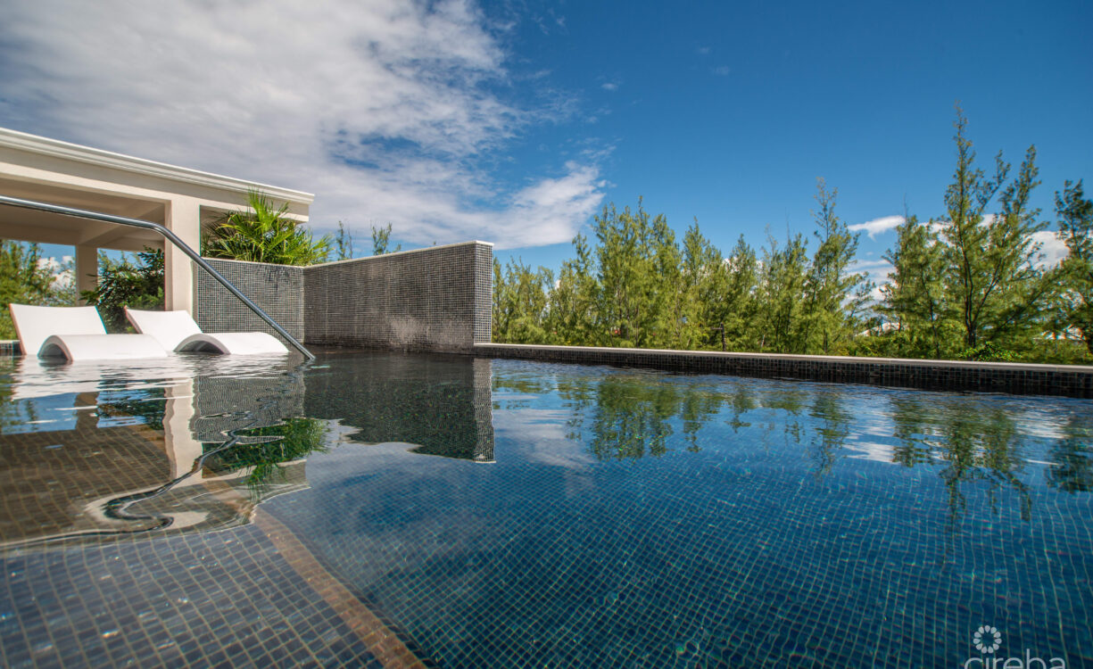 VILLA ZEN | CONTEMPORARY ISLAND LIVING AT THE GROVE