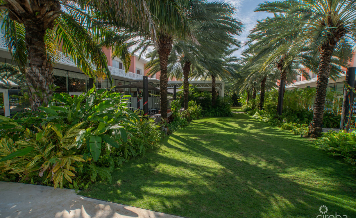 VILLA ZEN | CONTEMPORARY ISLAND LIVING AT THE GROVE