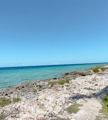 OCEAN POINTE VILLAS 3 BED, 2 BATH