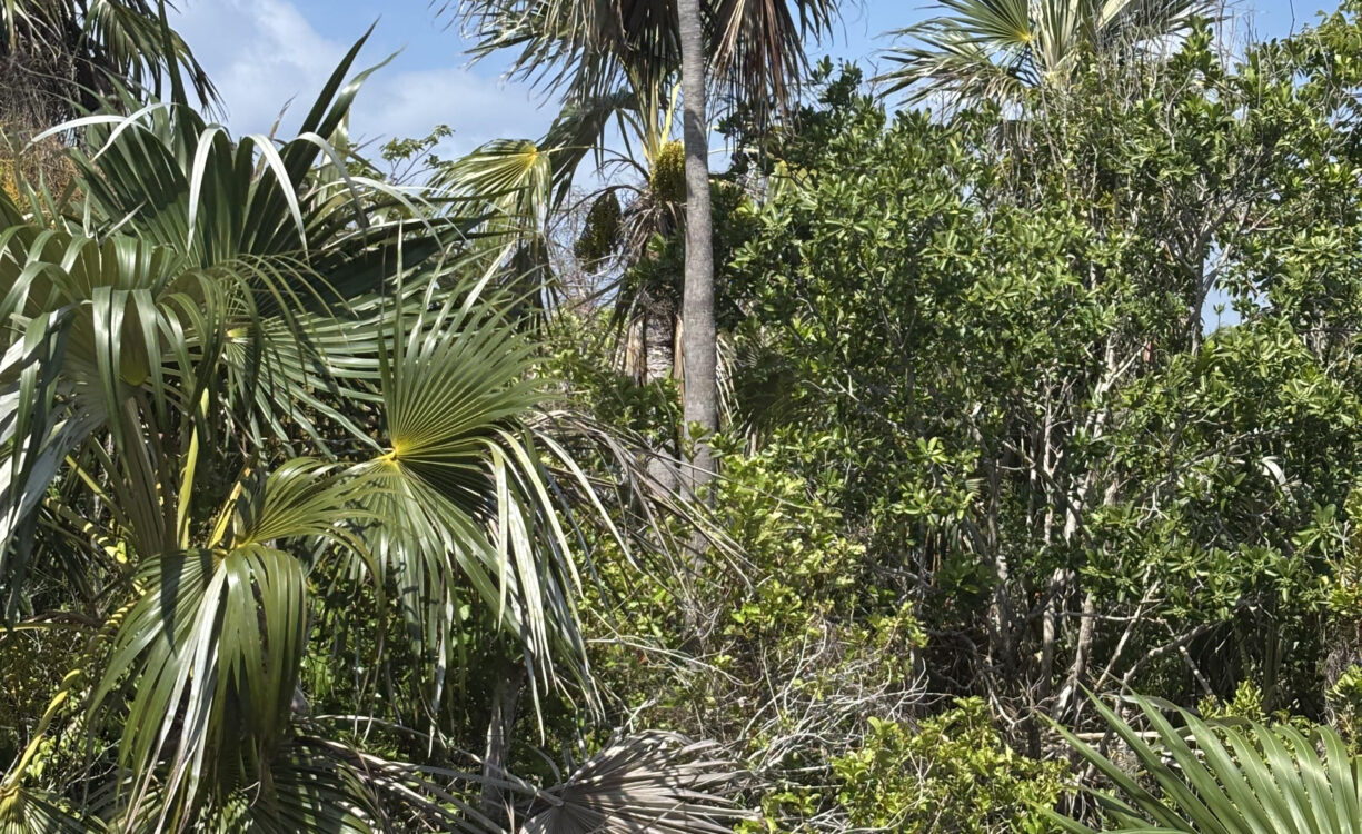 LITTLE CAYMAN LOT CLOSE TO POINT OF SAND