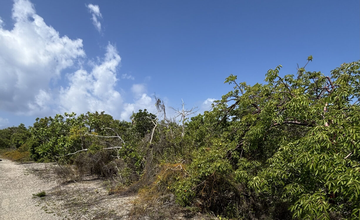 LITTLE CAYMAN LOT CLOSE TO POINT OF SAND